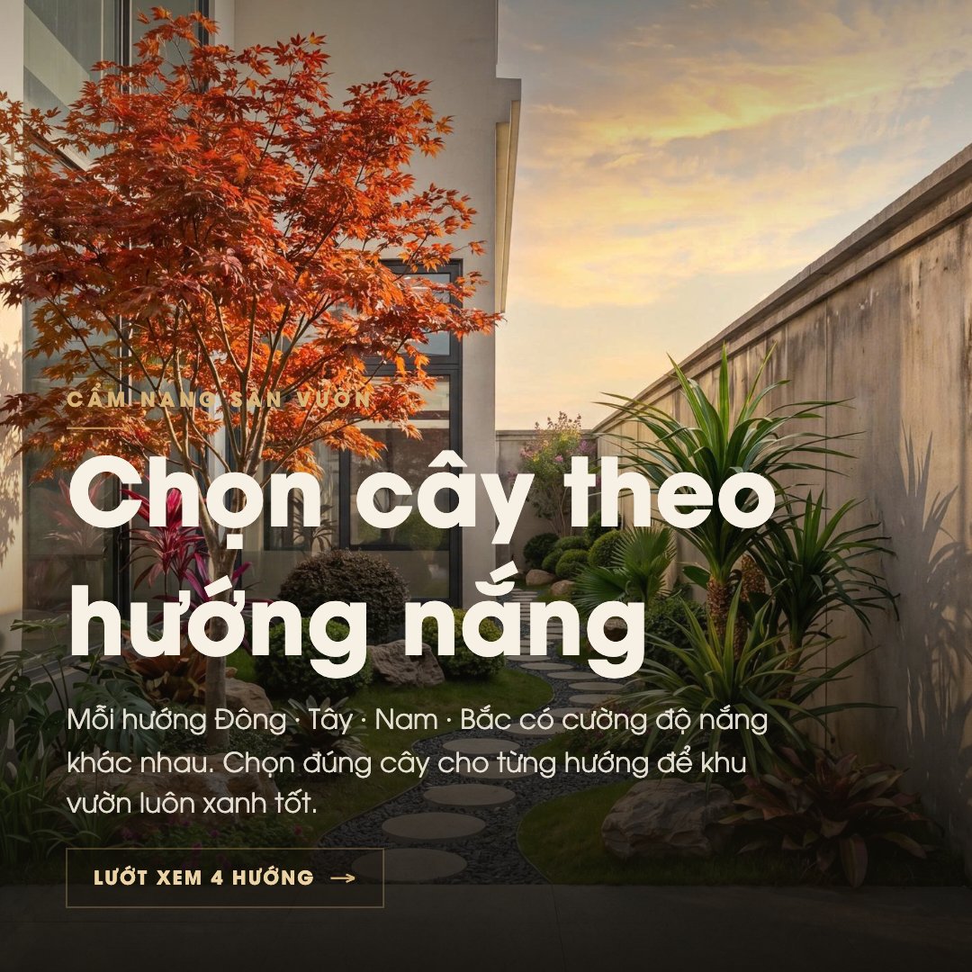 Chọn cây theo hướng nắng