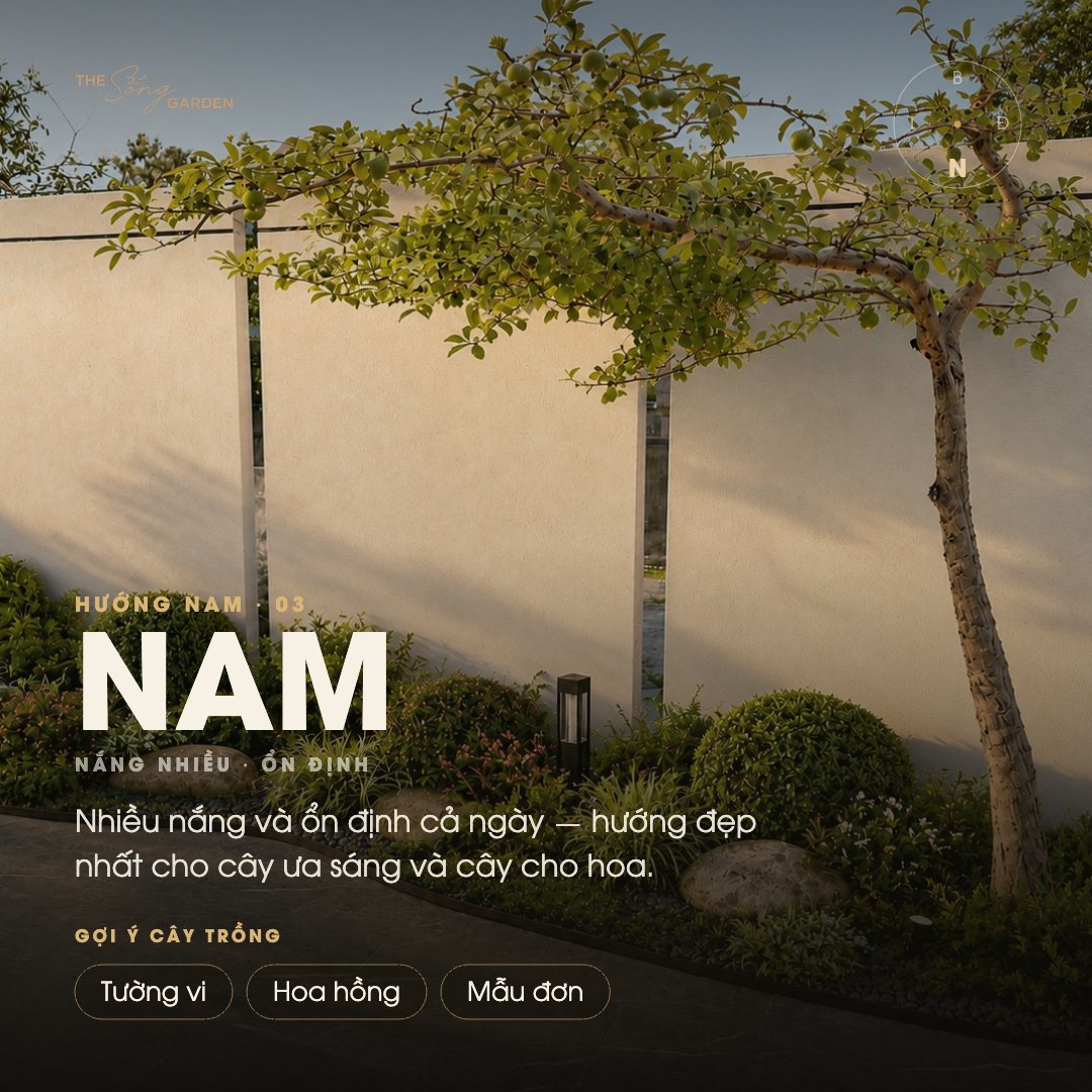 Cây cho hướng Nam