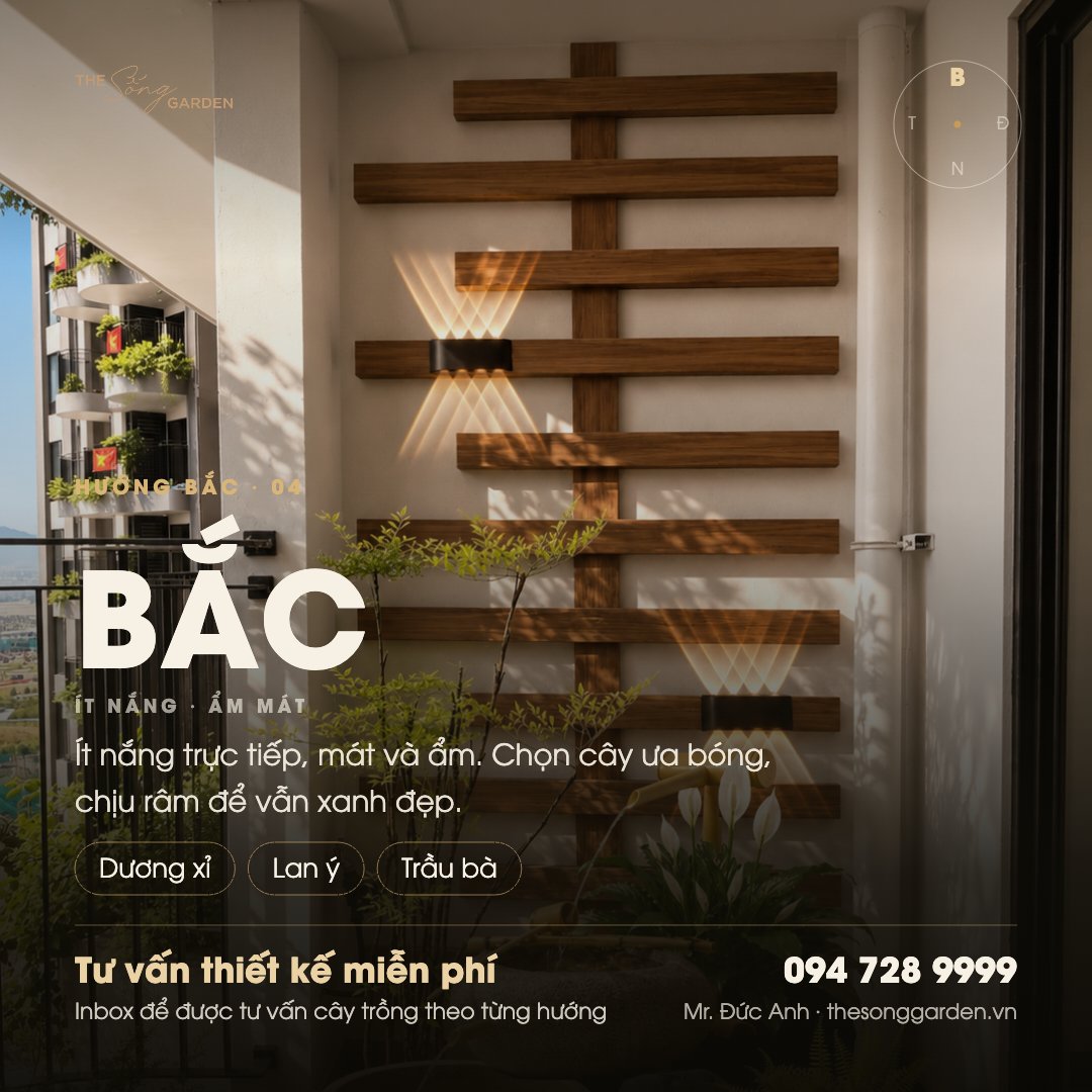 Cây cho hướng Bắc